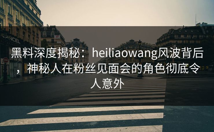 黑料深度揭秘：heiliaowang风波背后，神秘人在粉丝见面会的角色彻底令人意外